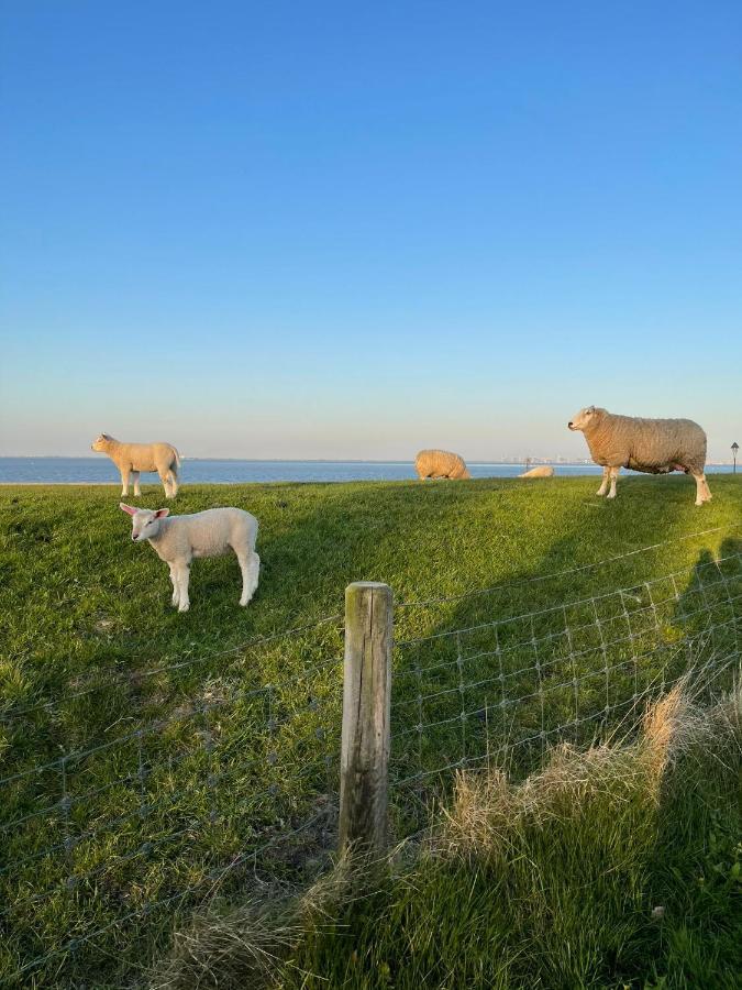 Ferienwohnung Hein Am Nordseedeich Butjadingen Dış mekan fotoğraf
